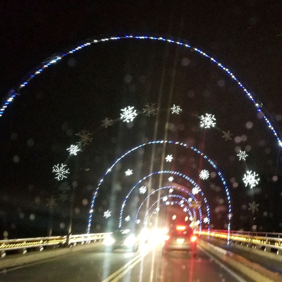 Meet your Posher, Anna - Picture 1 of 1